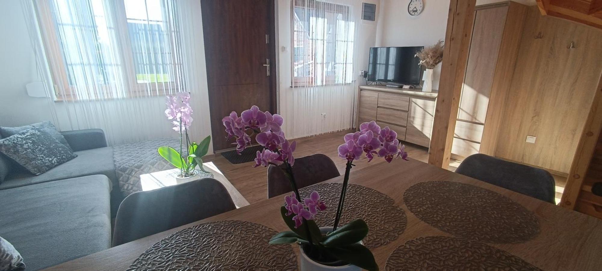 Diament Rogowo Villa Rogowo  Kültér fotó