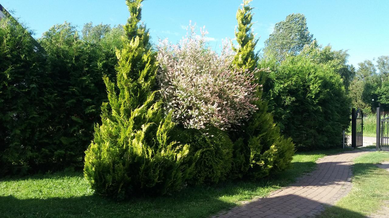 Diament Rogowo Villa Rogowo  Kültér fotó